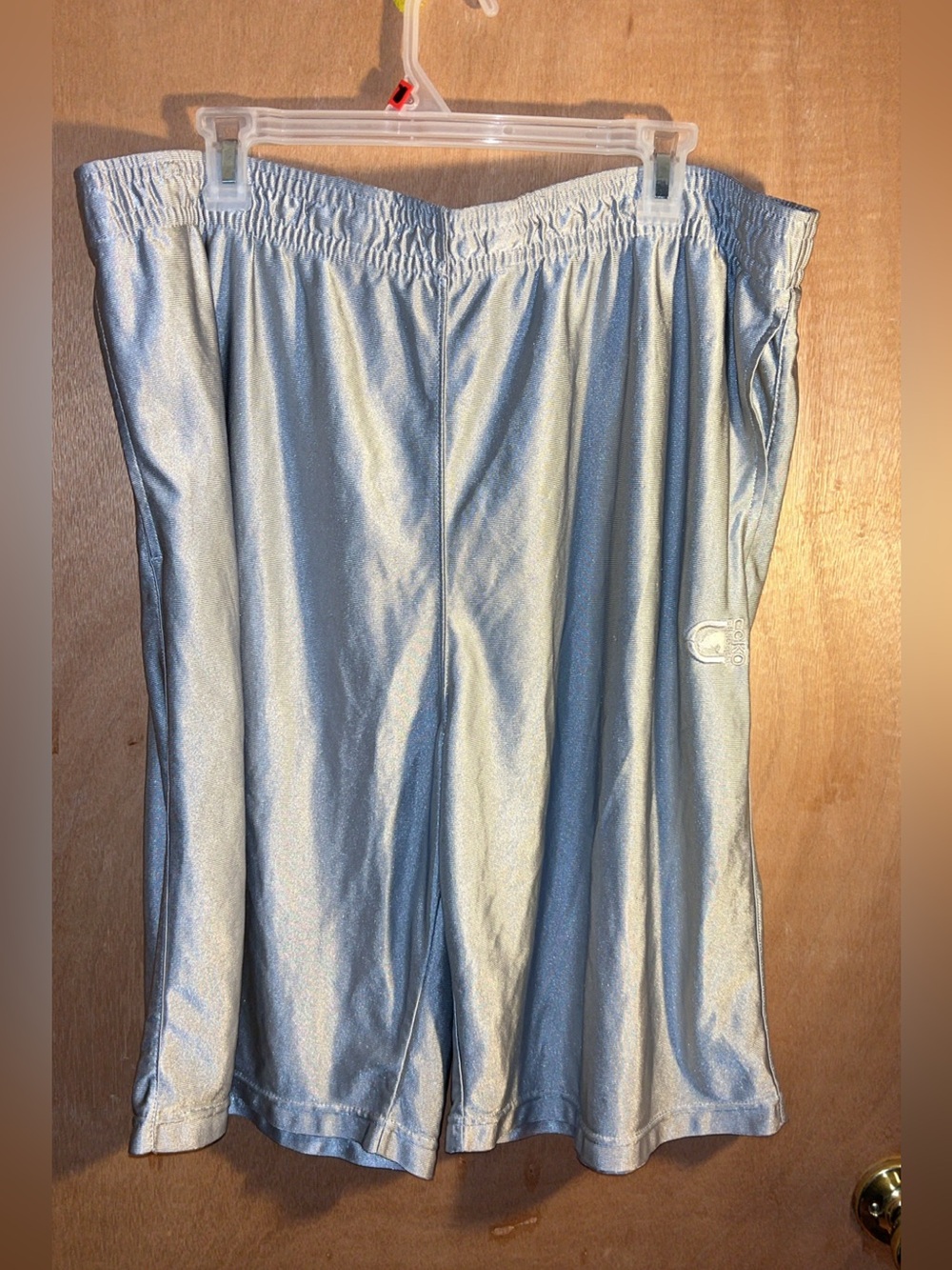 Rare Silver Dazzle Athletic Shorts